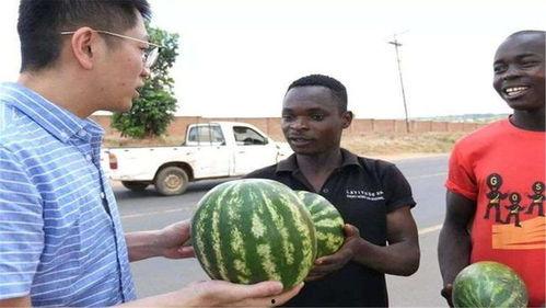 谁有黑料吃瓜网,谁有黑料，吃瓜网带你一探究竟