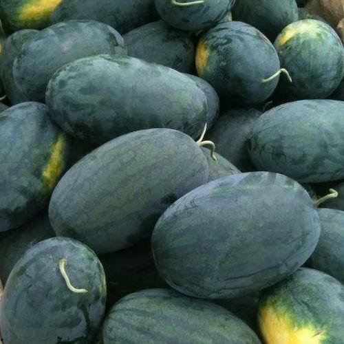 Ym-98黑料吃瓜,吃瓜群众如何解读娱乐圈风云