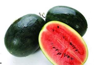 黑瓜吃料正能量166